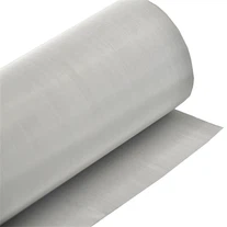 Stainless Steel Mesh 1 Stainless Steel Mesh 1